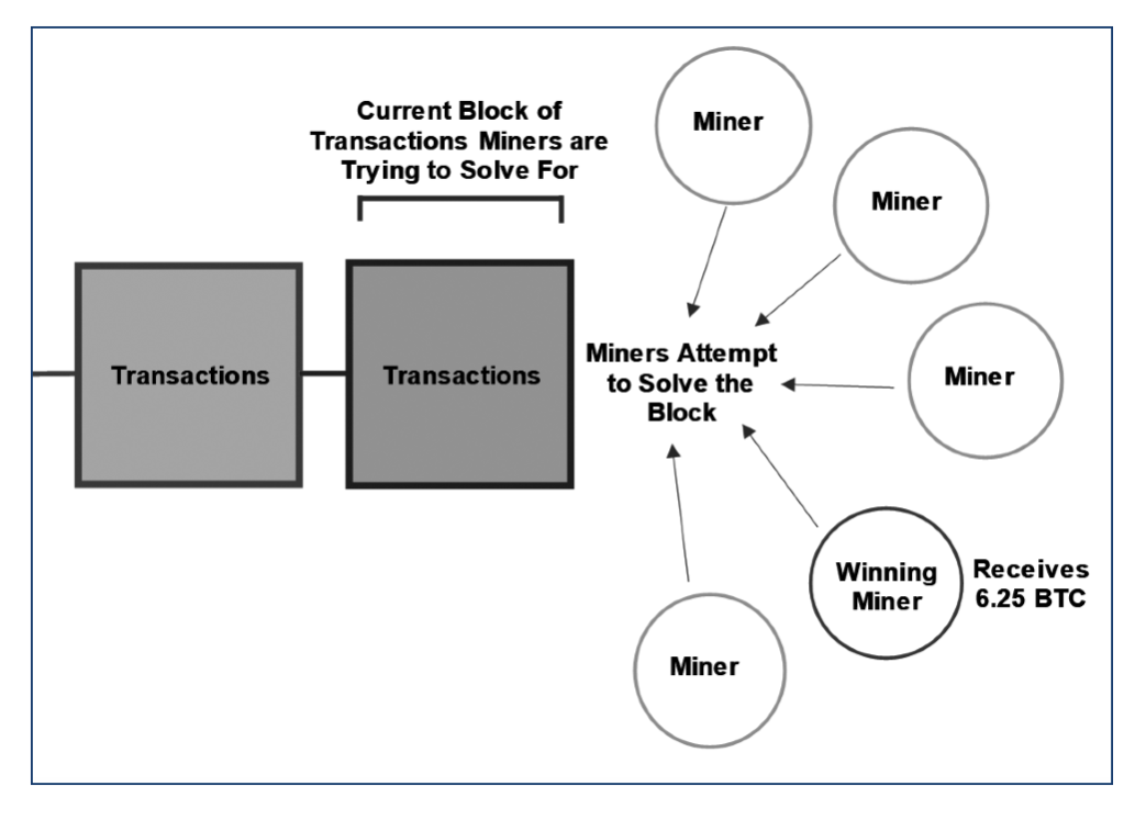 The Crypto Framework And Basis Behind Their Networks