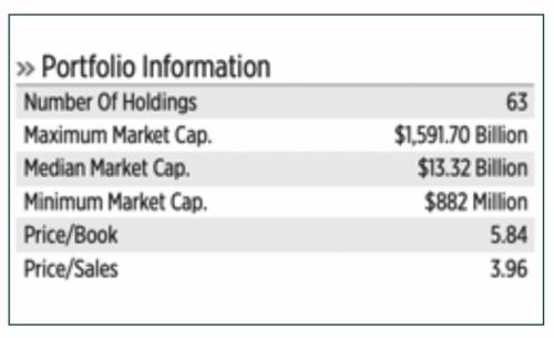 The First Trust Cloud Computing ETF (SKYY)