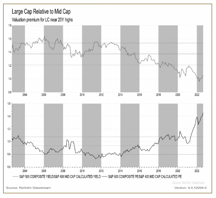 Large Cap vs Mid Cap US Stocks