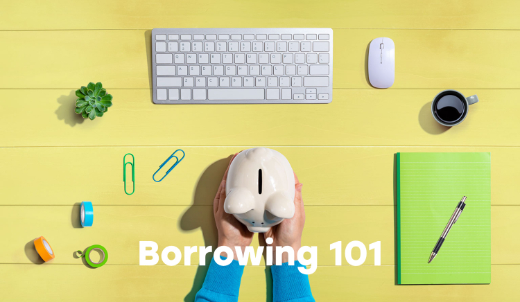 Thumbnail for Borrowing 101